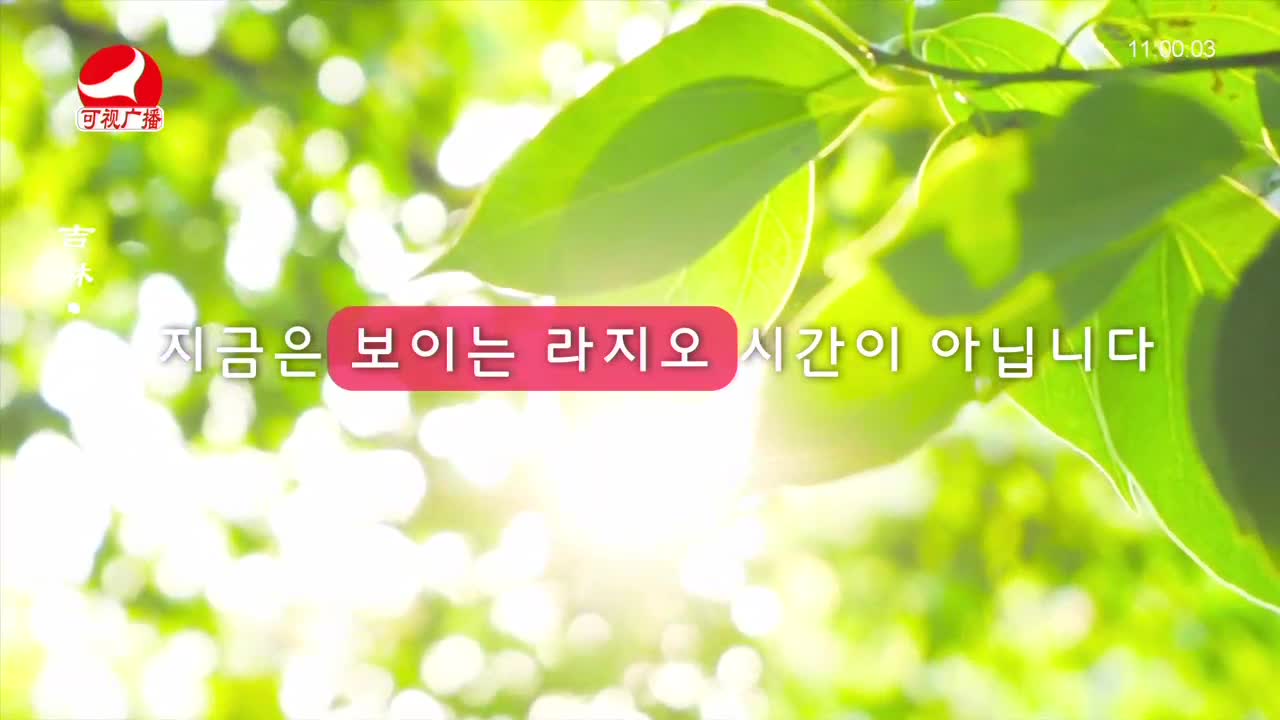 연변가요데이트 2023-12-29