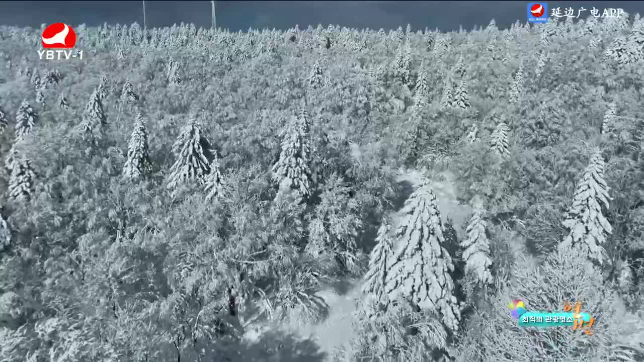 최적의 관광명소 연변 2024-02-29