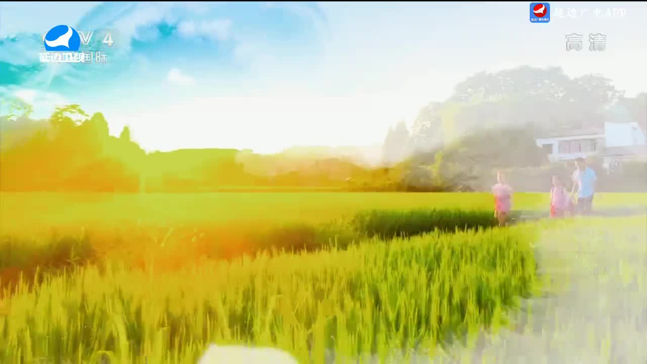 신주주말특간 2024-04-14
