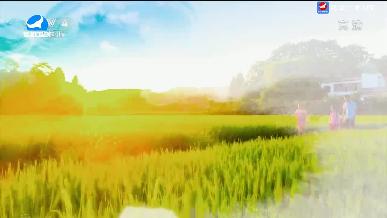 신주주말특간 2024-04-20