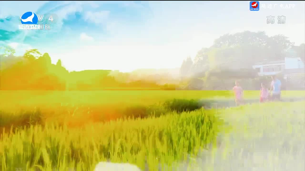 신주주말특간 2024-05-19