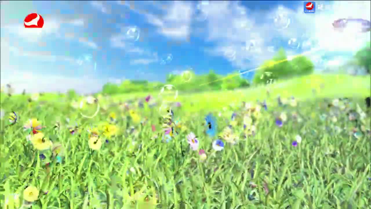 사랑으로 가는 길 2024-06-29
