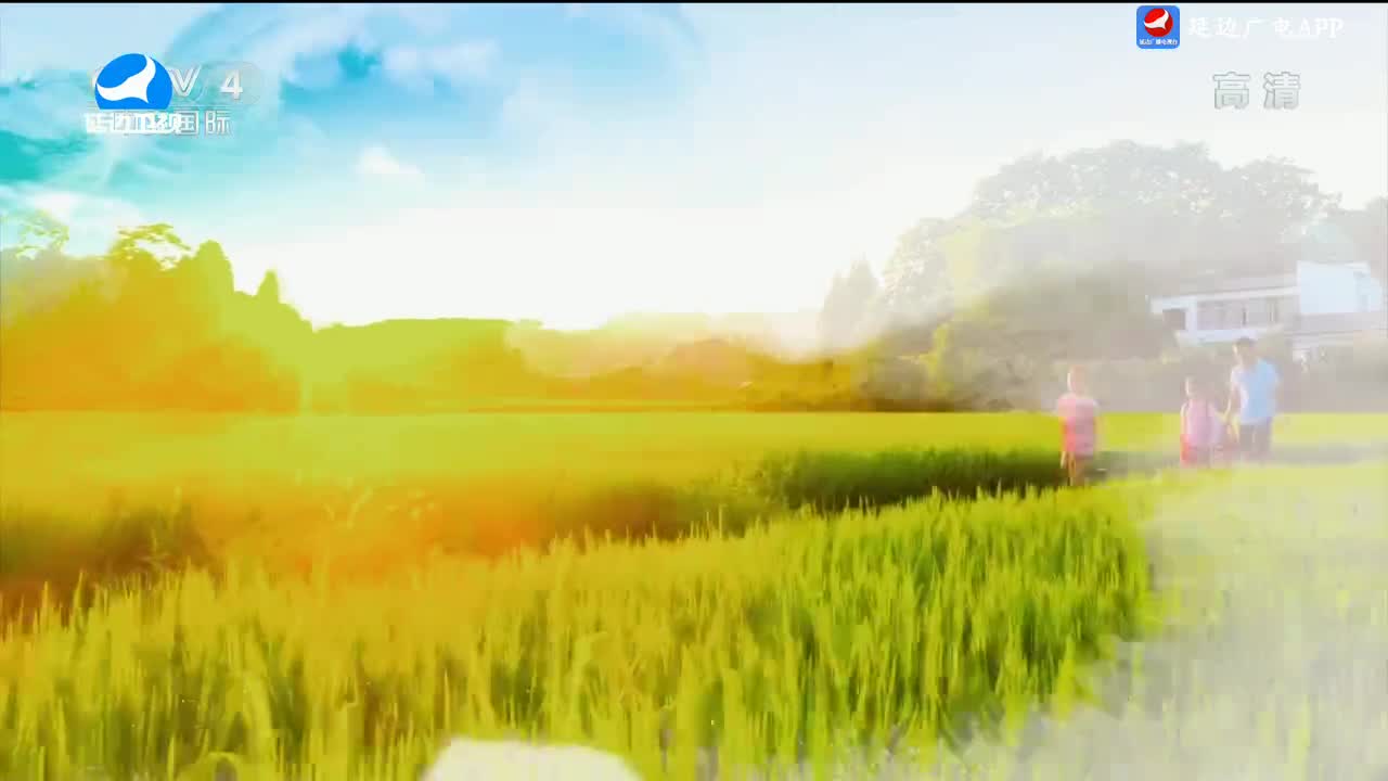 신주주말특간 2024-06-22