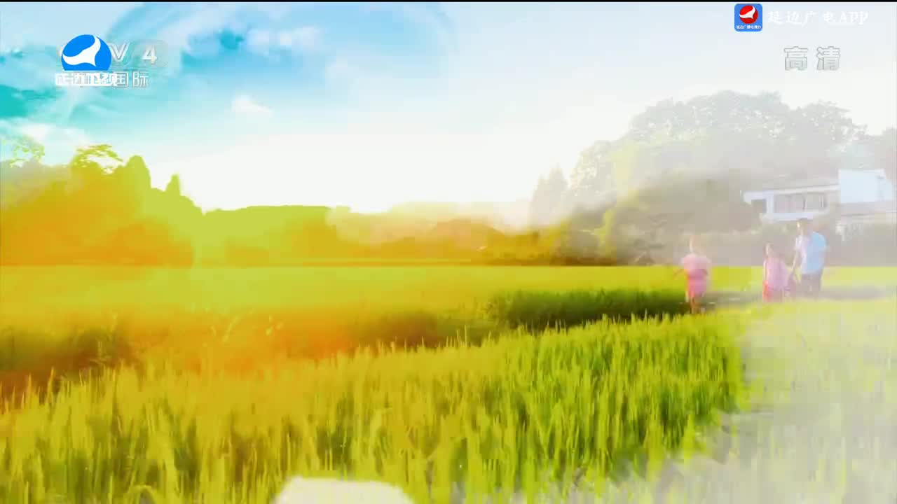 신주주말특간 2024-07-20