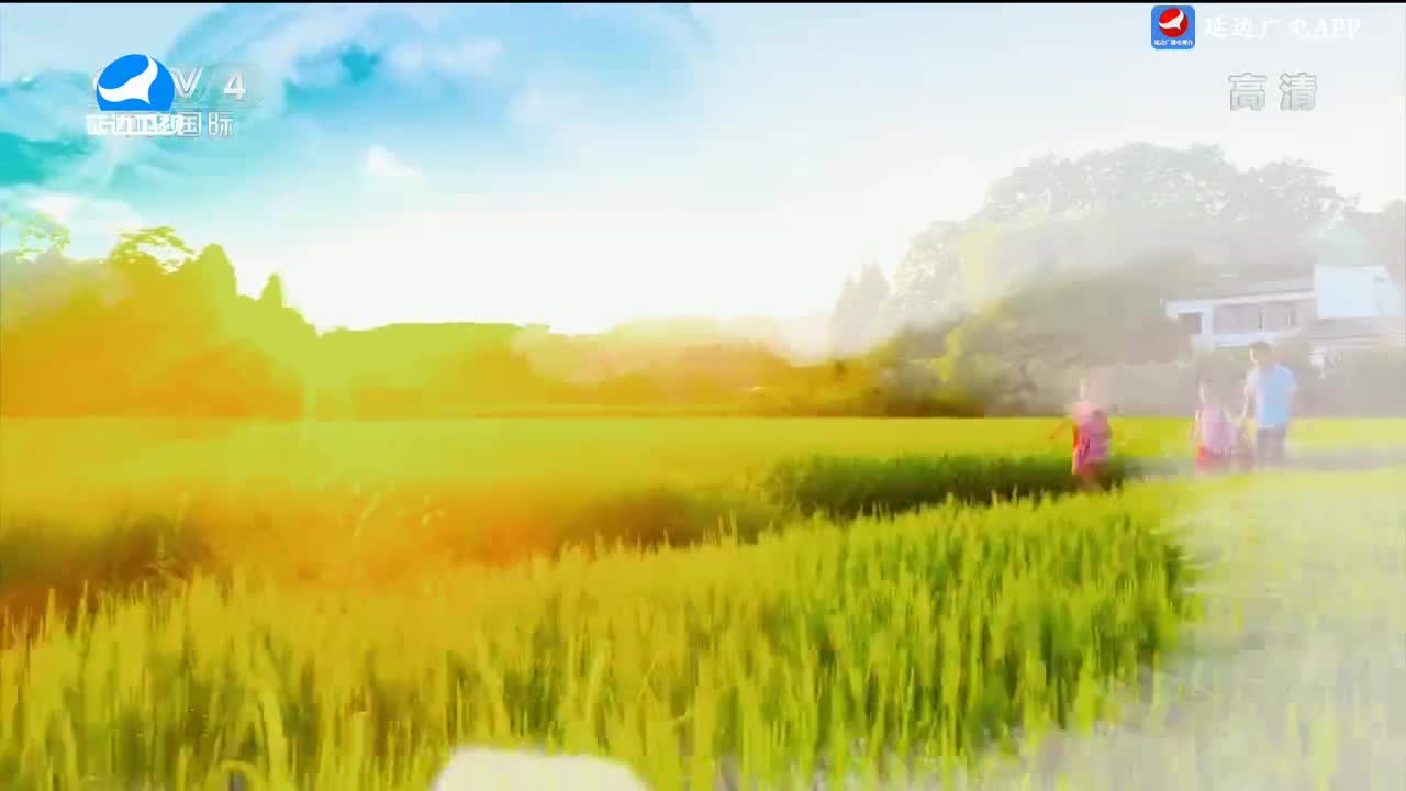 신주주말특간 2024-07-14