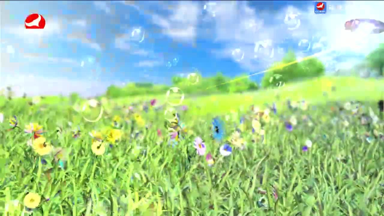사랑으로 가는 길 2024-07-27