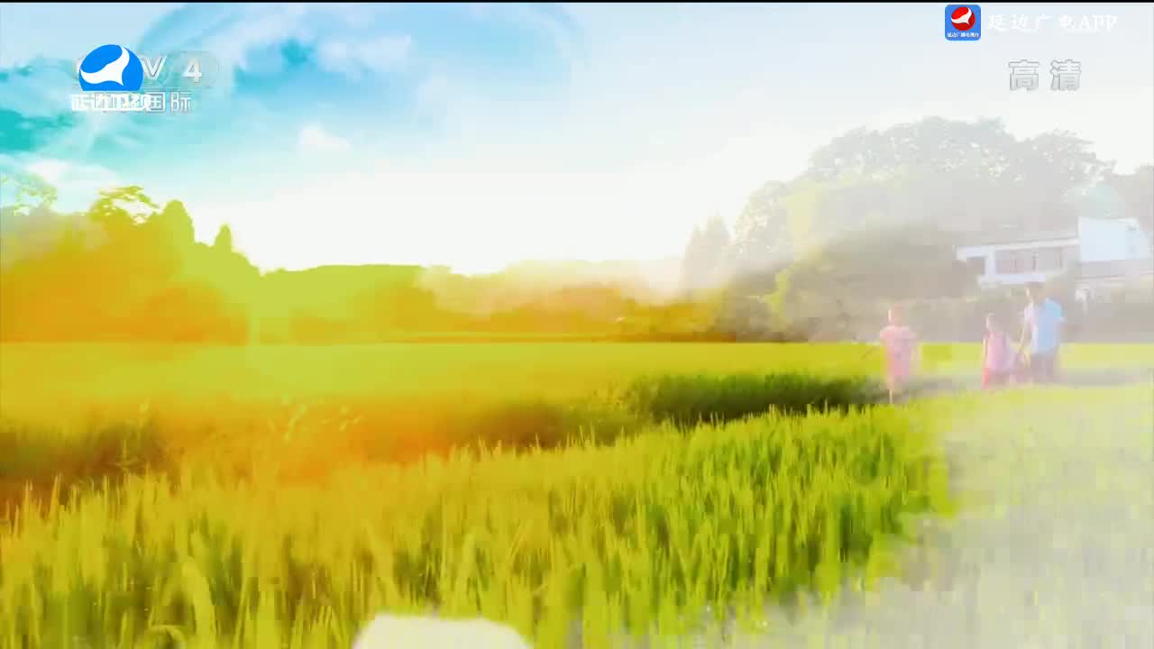 신주주말특간 2024-07-27