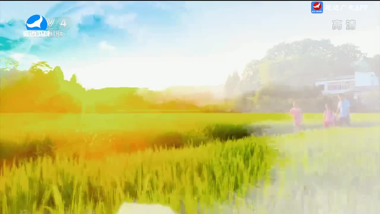 신주주말특간 2024-08-03