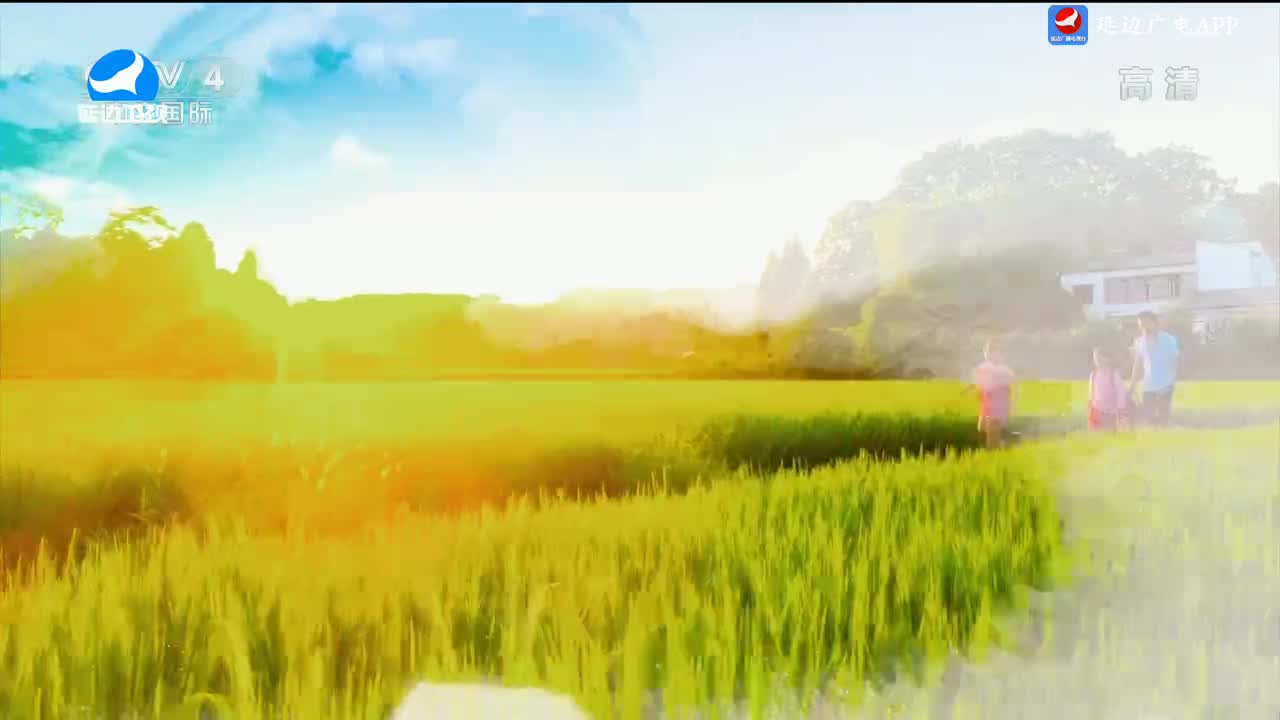 신주주말특간 2024-08-25