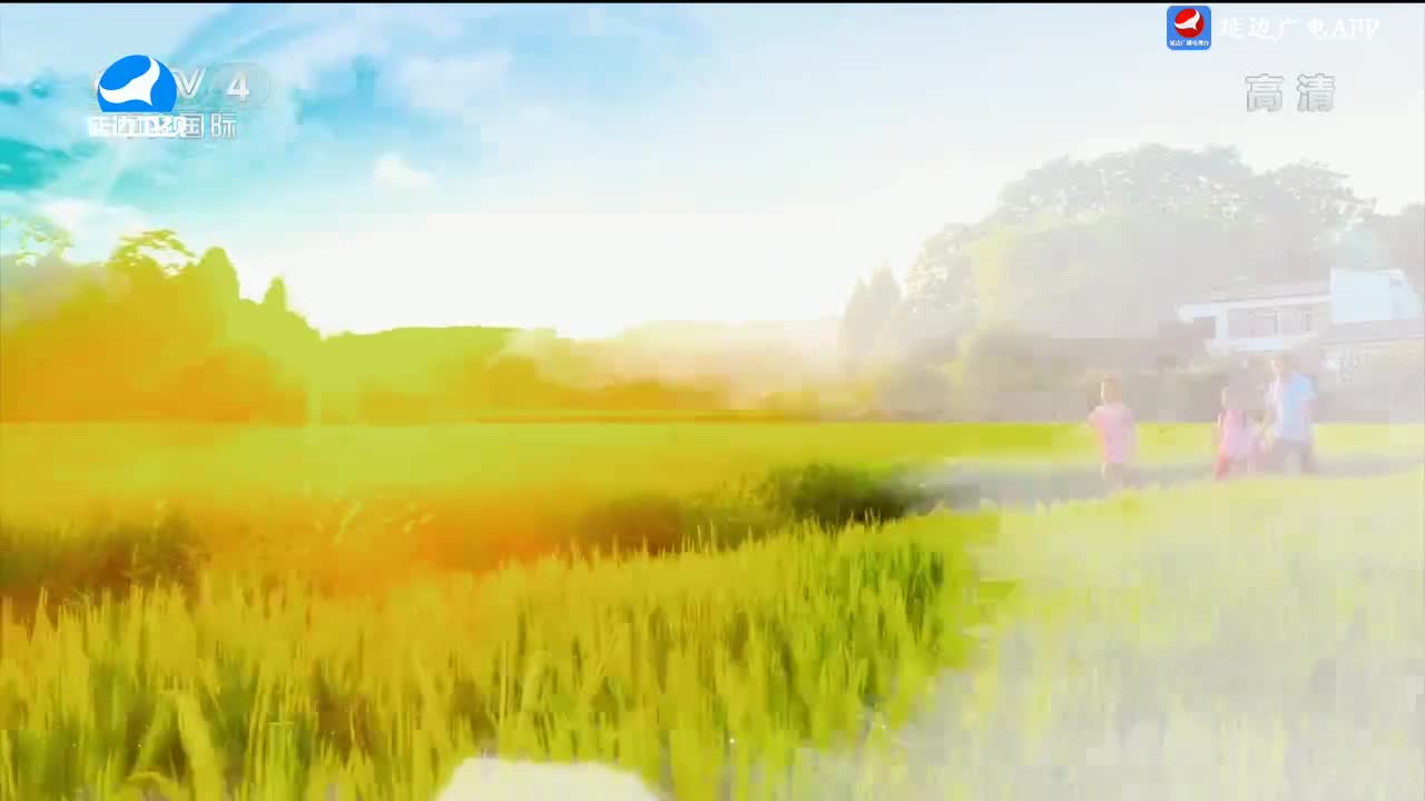 신주주말특간 2024-08-31