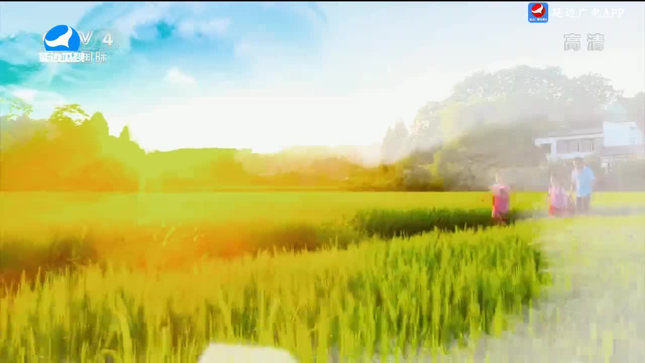 신주주말특간 2024-09-28