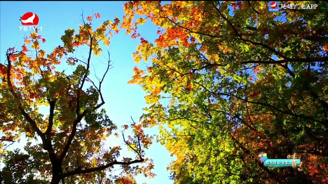 최적의 관광명소 연변 2024-10-31