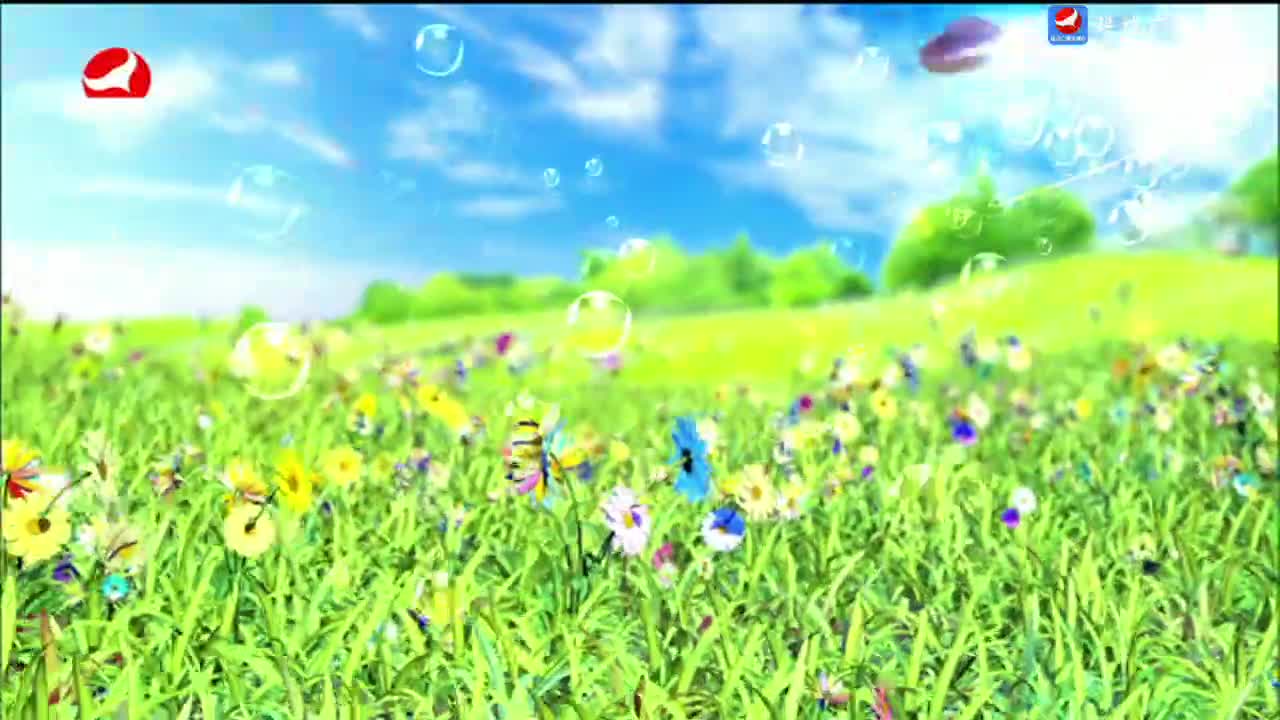 사랑으로 가는 길 2024-11-30