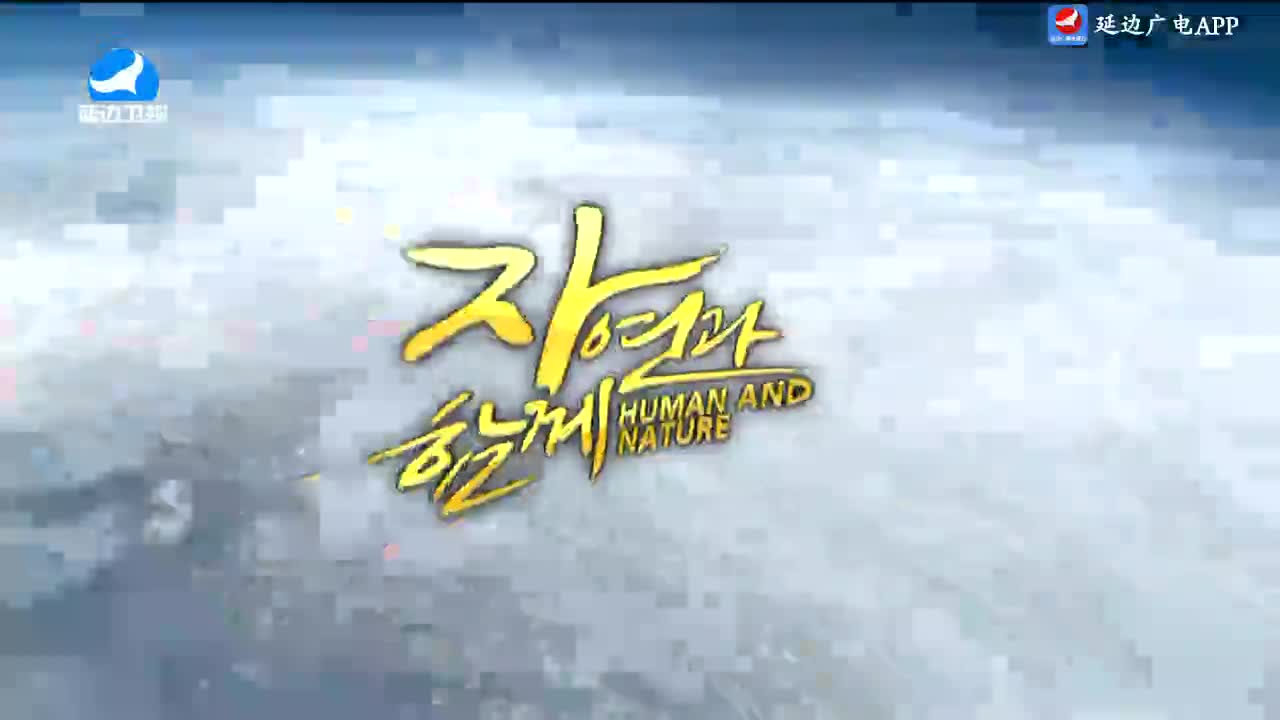 신주 2025-02-28