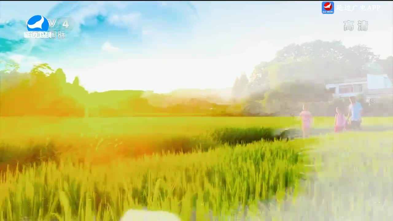 신주주말특간 2025-02-15