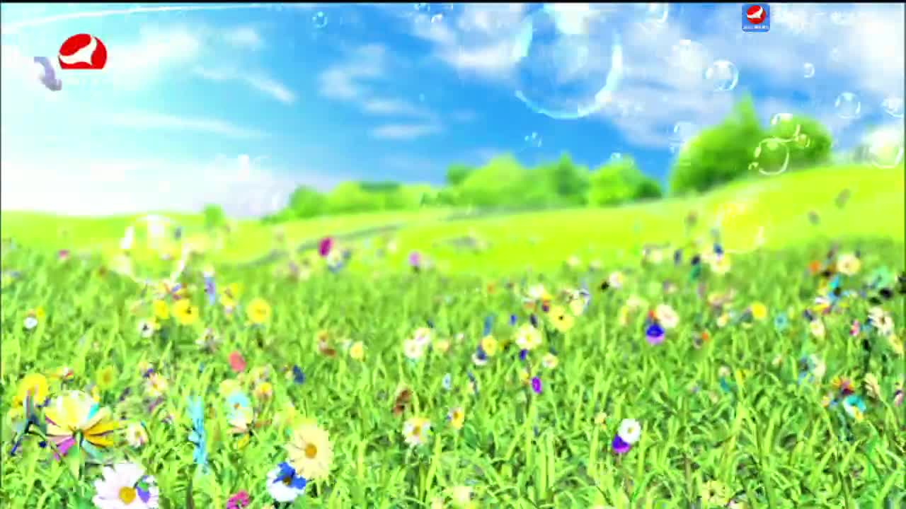 사랑으로 가는 길 2025-04-26