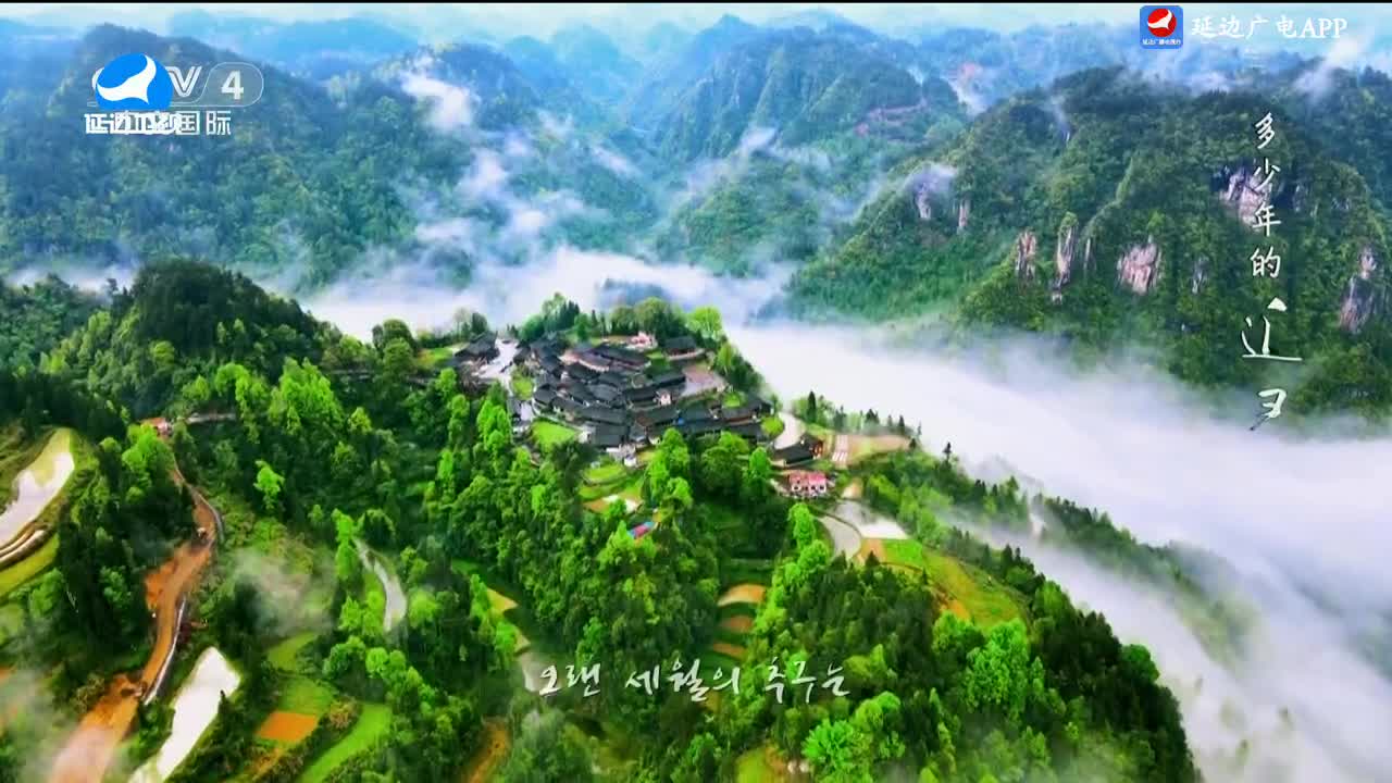 신주주말특간 2025-05-11