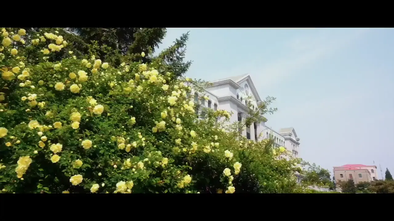 《怀恋》作词 何方 作曲 姜渊中 演唱 金龙 印香子 吴爱玲 宋英泽
