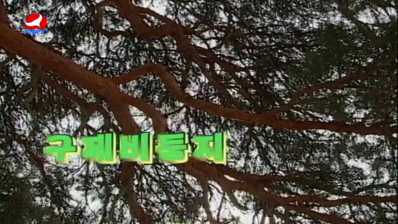 <구제비 둥지>작사 정호원,작곡 김창근,노래 최려나 박연