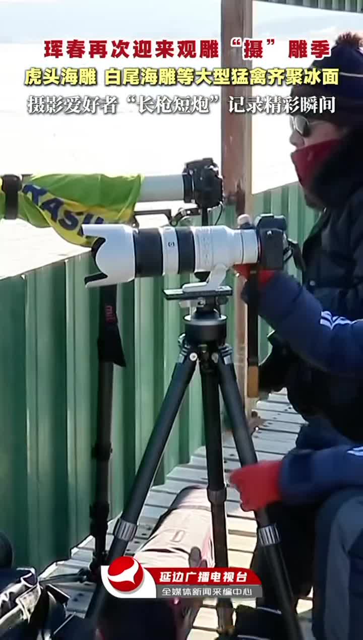 훈춘 경신습지 진풍경,  대포렌즈로 철새 포착~