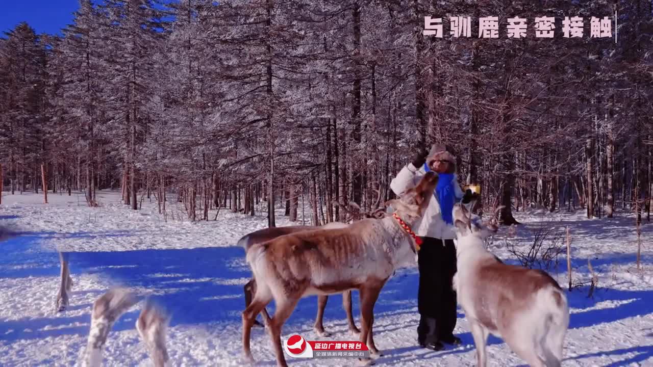 연변 봄눈 려행 가이드~