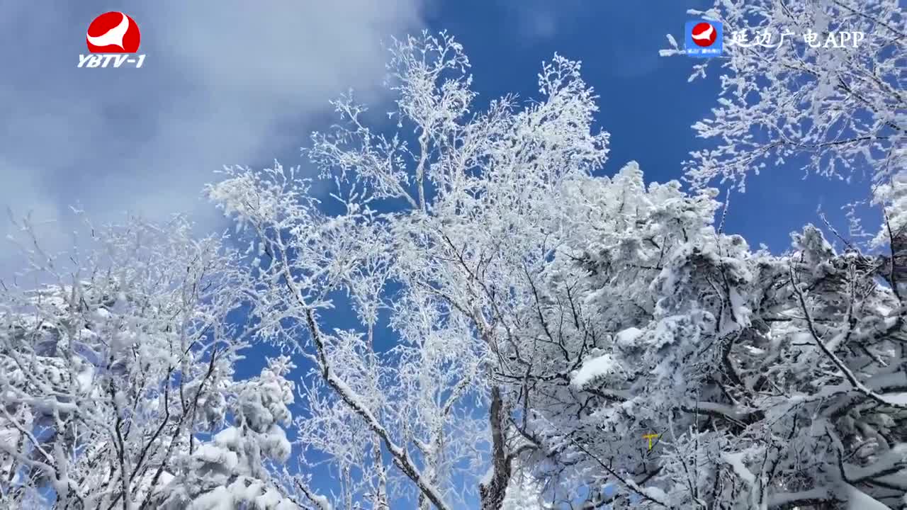 TV문화를 품다 2026-03-13