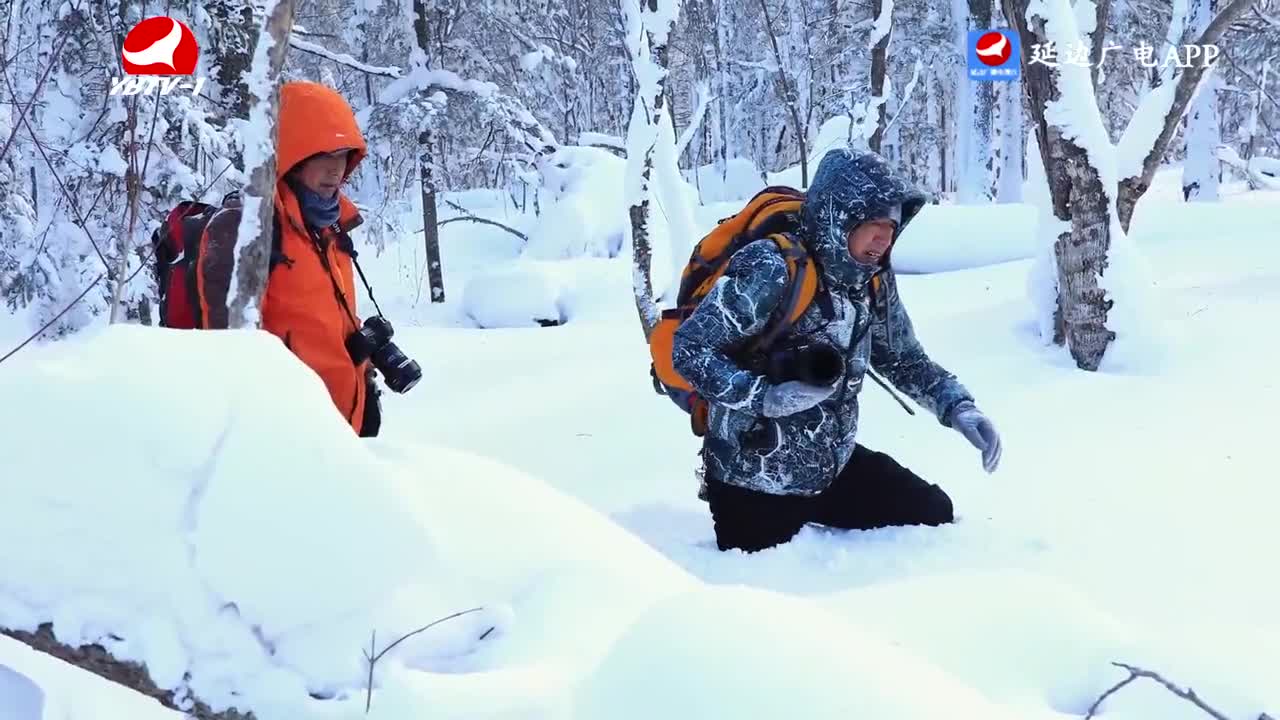 文化漫步 2026-03-20 