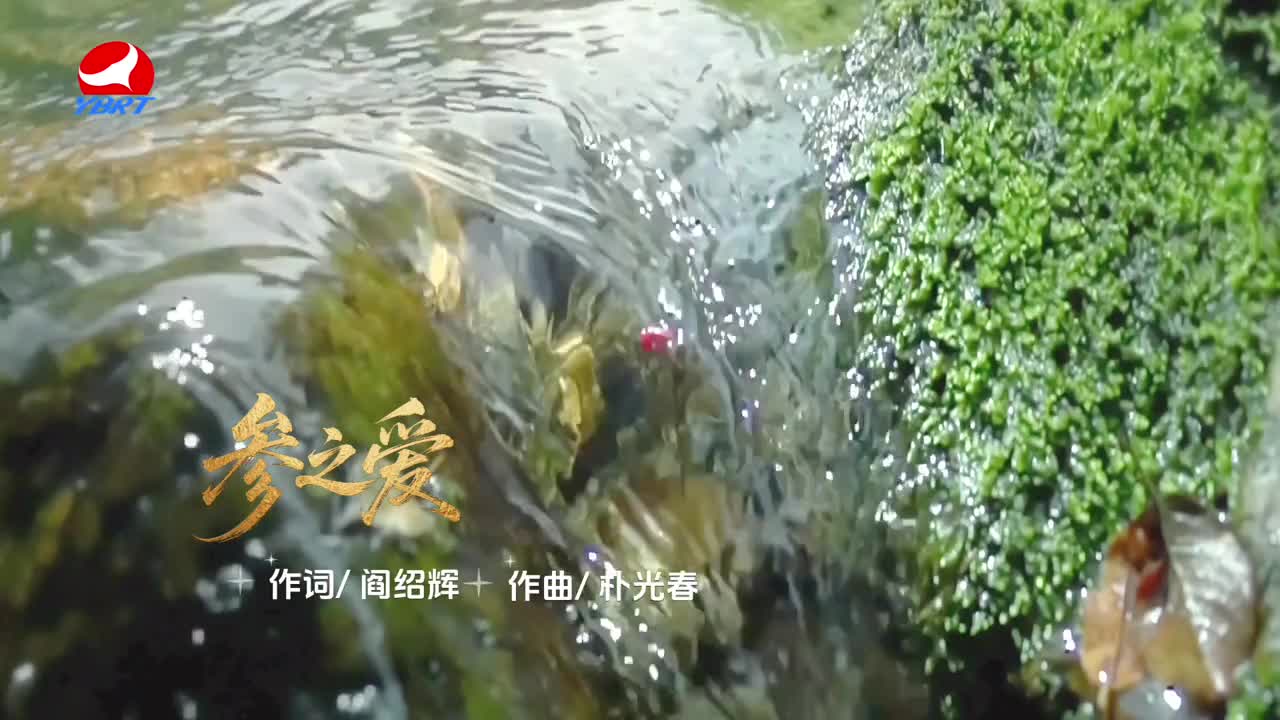 《 参之爱 》作词 阎绍辉 ，作曲 朴光春 ，演唱 李珍花 