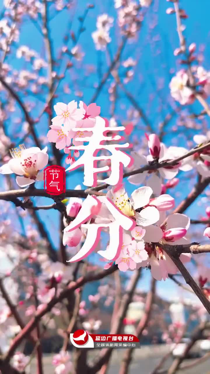 오늘 춘분 | 춘분에 룡이 머리 들었다… 행운이 겹치는 길한 날~