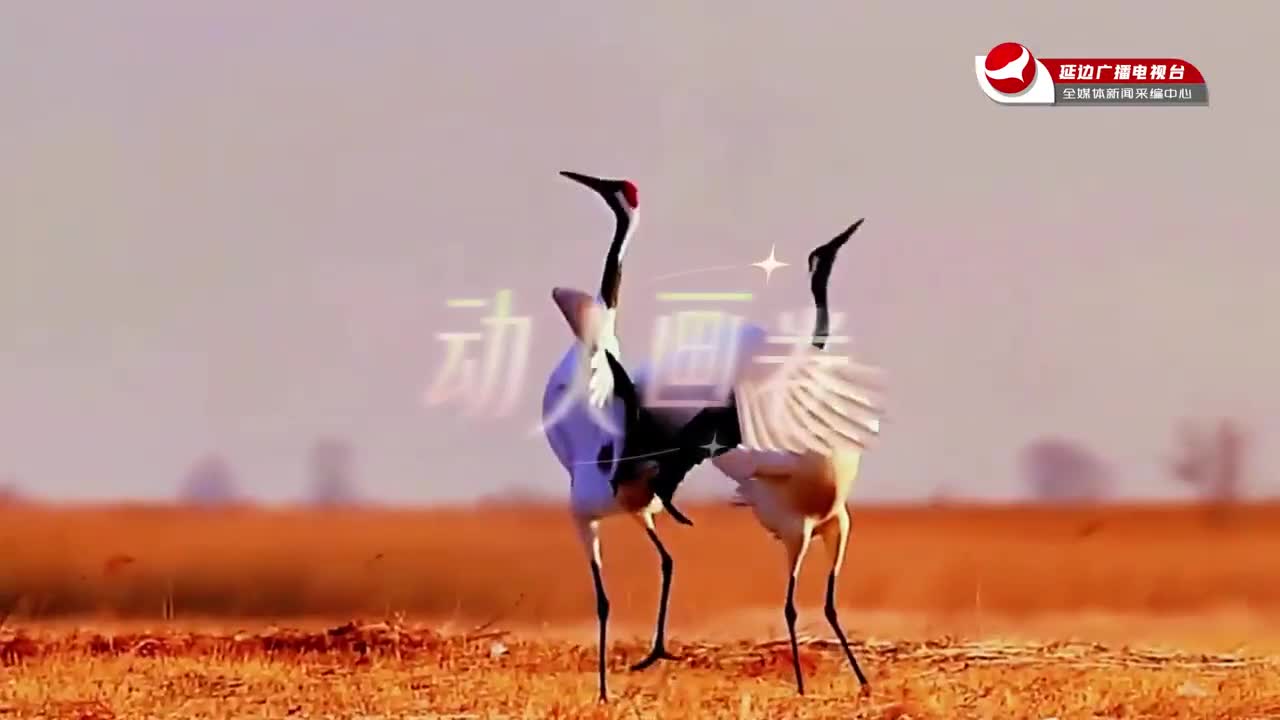 봄기운 약동하는 연변…생태연변의 장엄한 화폭~