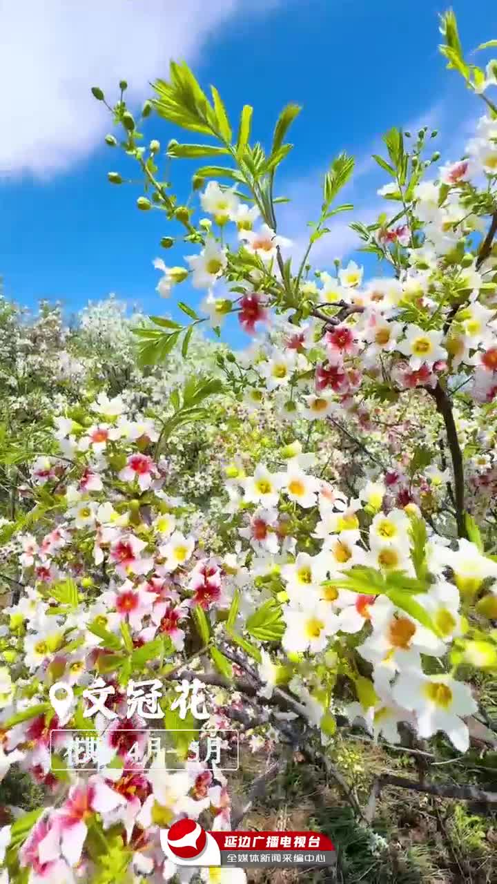  꽃 지도... 렌즈에 담긴 꽃들의 향연~