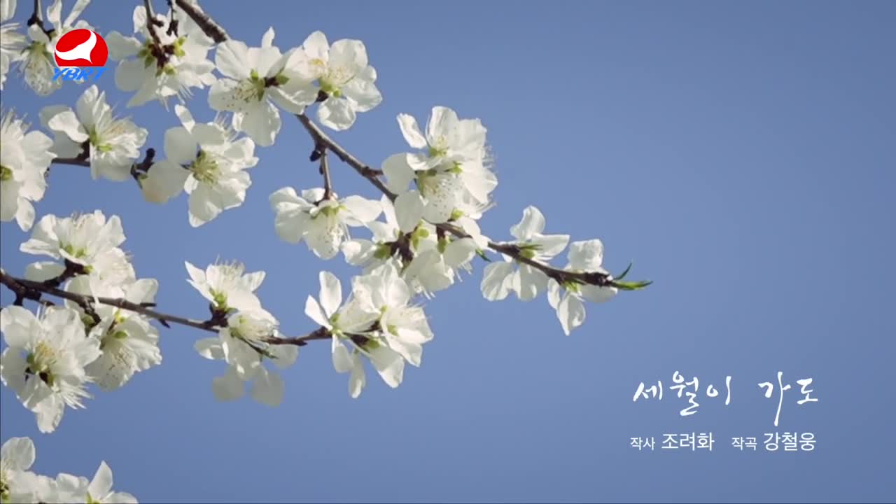 < 세월이 가도 >작사 조려화 작곡 강철웅 노래 차미령 편곡 리광우