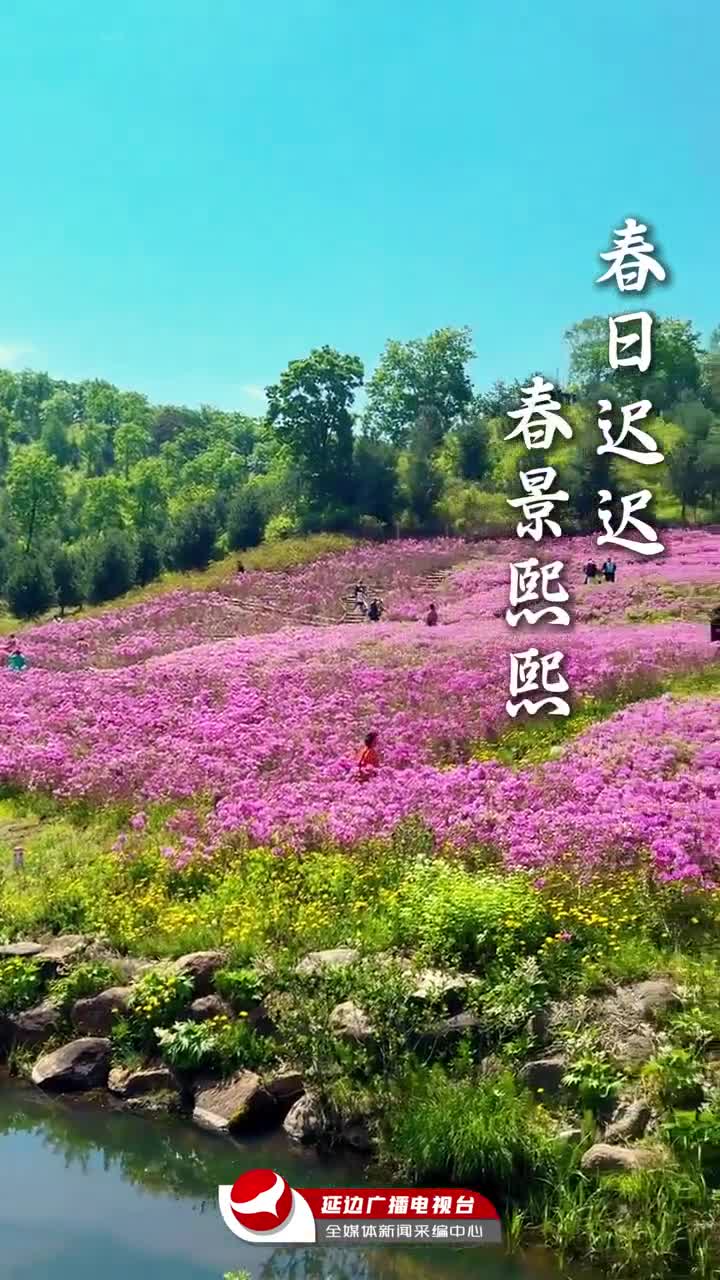 한편의 시같은 연변의 봄... 놀러오세요~