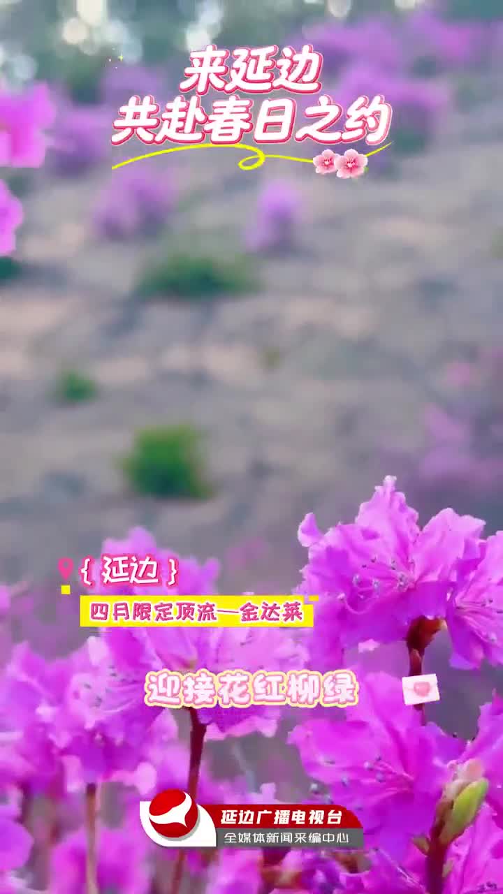 연변에서 펼쳐지는 꽃향연, 그대를 부릅니다~