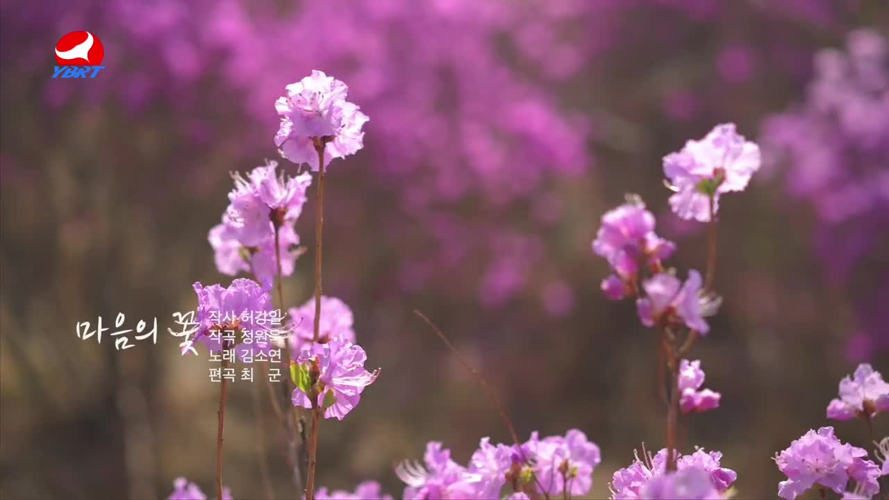 < 마음의 꽃 >작사 허강일 작곡 정원욱 노래 김소연 편곡 최군 