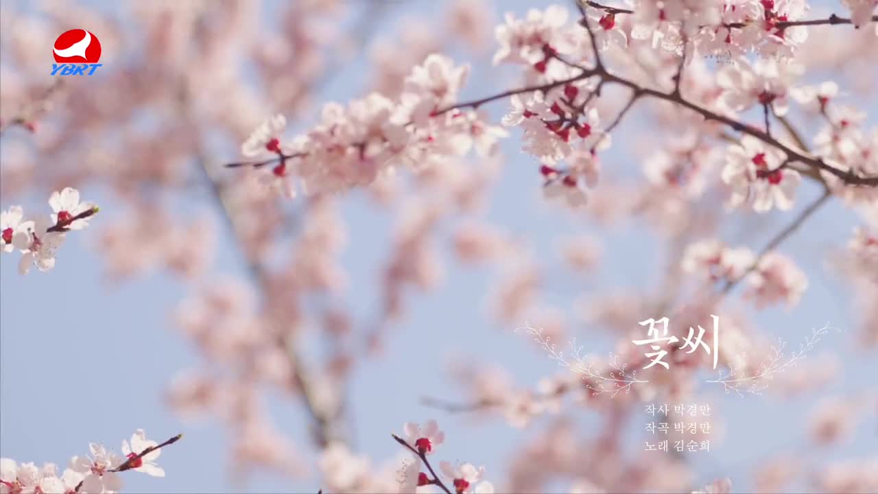 < 꽃씨 >작사 박경만 작곡 박경만 노래 김순희 가야금 김영 저대 리은희 해금 김순화