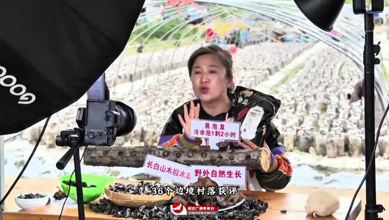 2026 우리의 스토리, 연변 전자상산업 발전에서 시작~