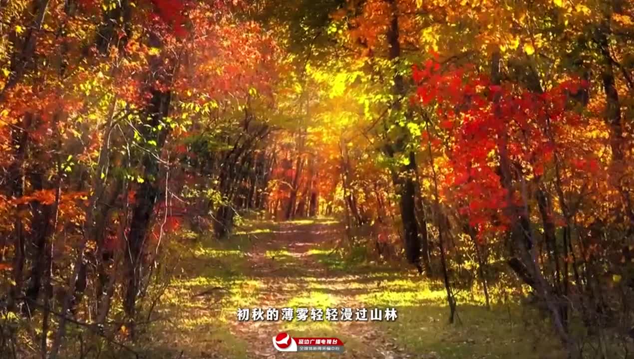 2026 우리의 스토리, 연변의 오색찬란한 가을에서 시작~
