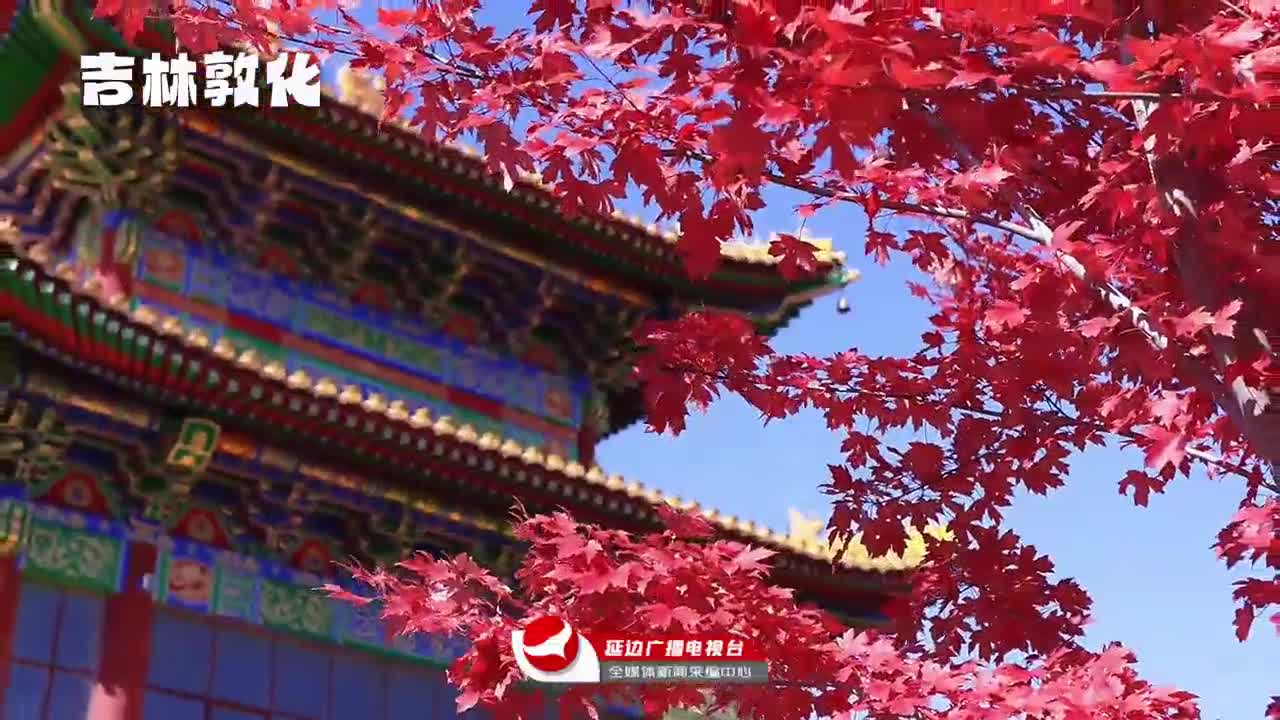 랑만 가득한 연변의 가을~