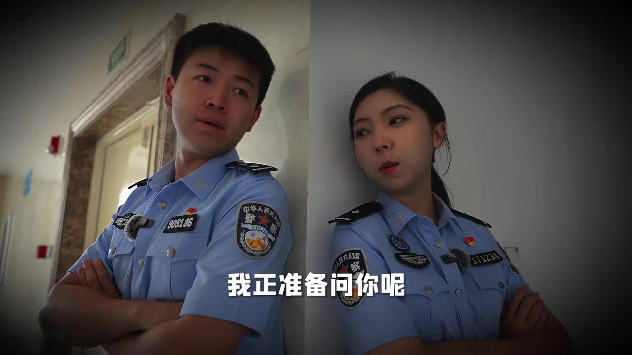 폭력배악세력제거 | 이번 단속의 범죄류형