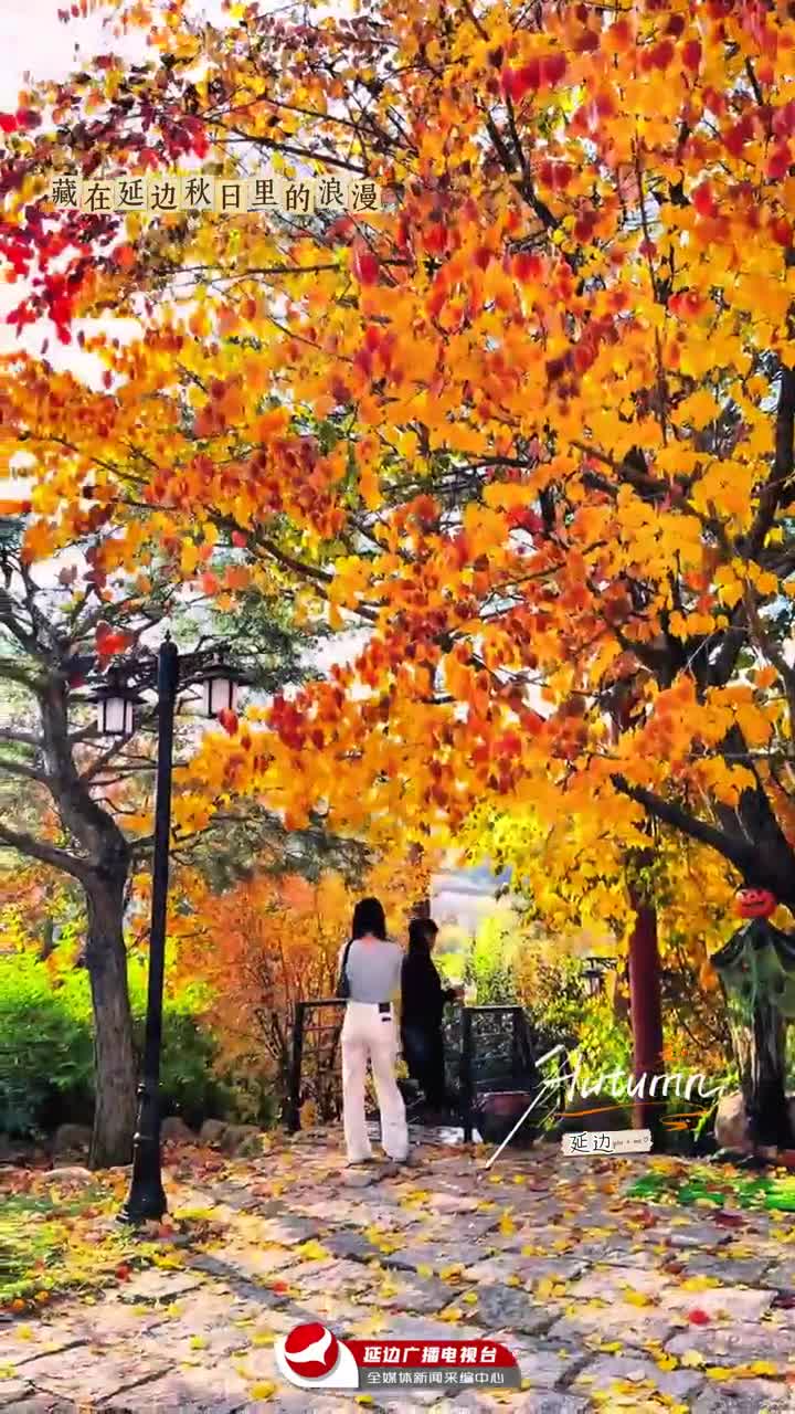 연변 가을 곳곳에 피여나는 랑만~