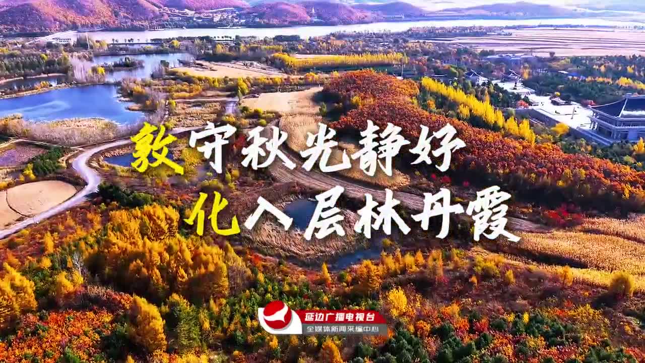 연변 8개 현시에서 보내온 가을인사~