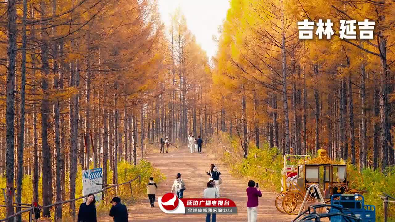 연변 가을, 지금이 절정～