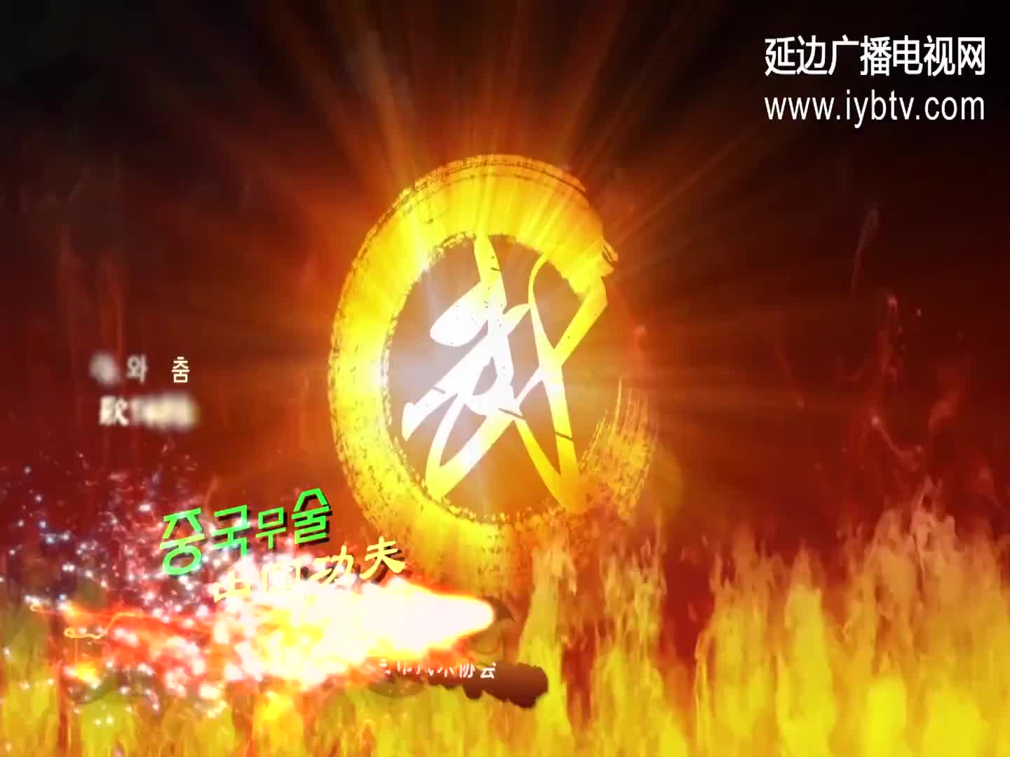中国功夫