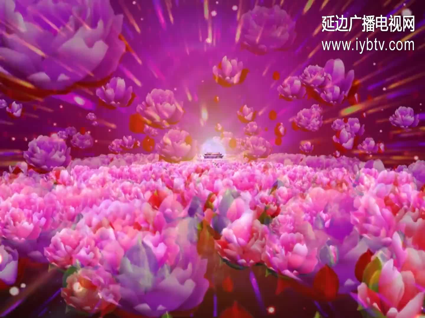 红星歌