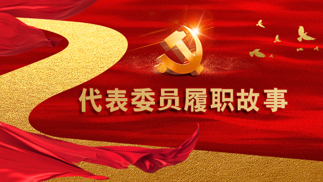 【专题】代表委员履职故事