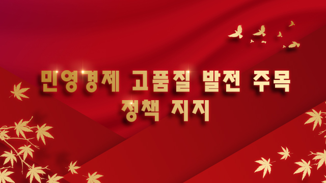 【특집】민영경제 고품질 발전 주목·정책 지지
