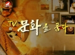 TV문화를 품다  