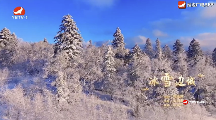 매주일가 2025-11-24