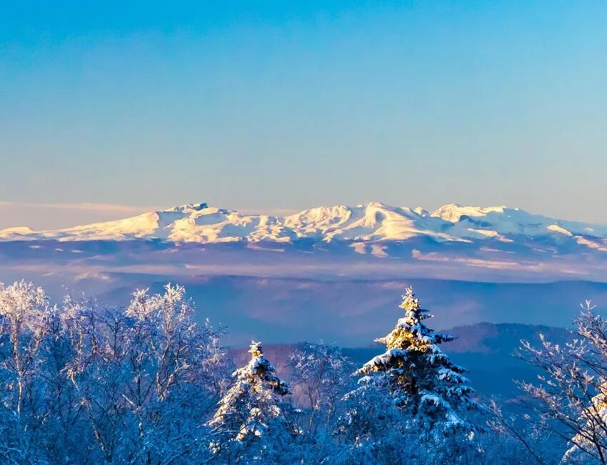 安图又上人民网！冰雪文旅玩出新高度